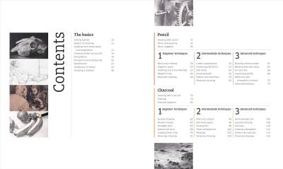 Artist's Drawing Techniques - 4