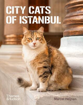 City Cats of Istanbul - Thames & Hudson