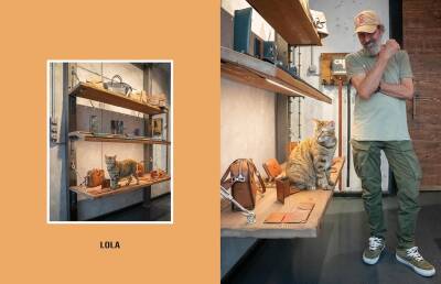 City Cats of Istanbul - 7