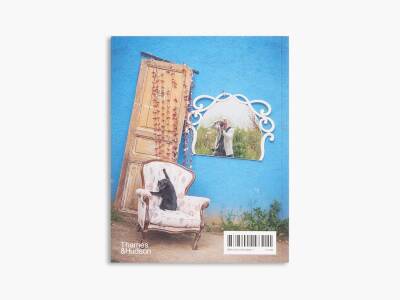 City Cats of Istanbul - 13