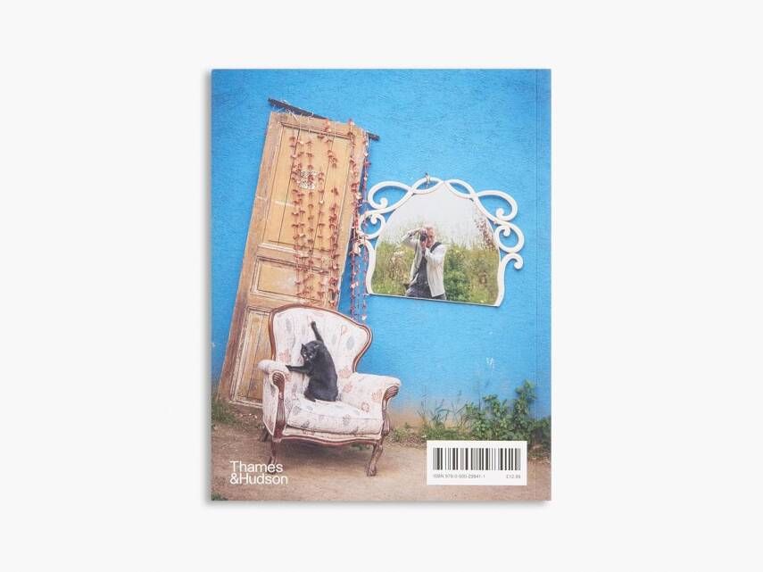 City Cats of Istanbul - 13