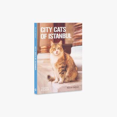 City Cats of Istanbul - 15