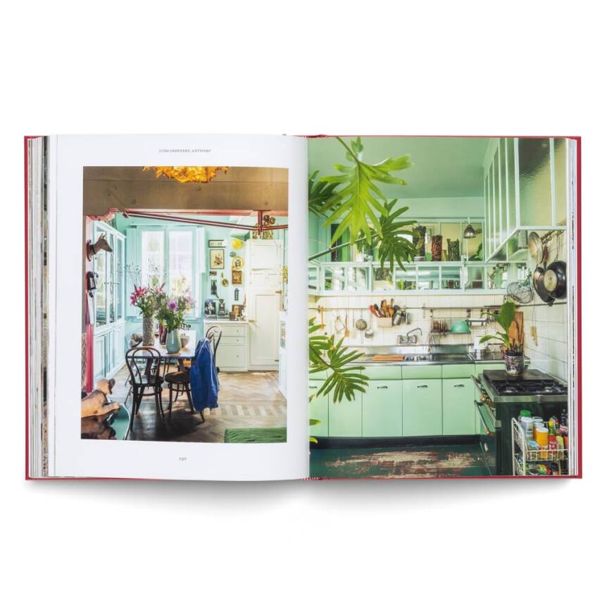 Creative Homes: Interiors and Design in Belgium - 6