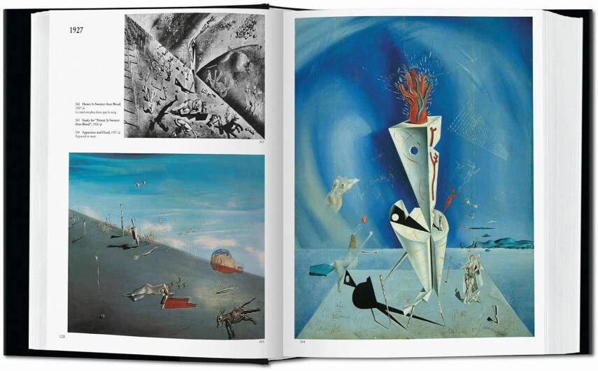 Dalí. The Paintings - 3