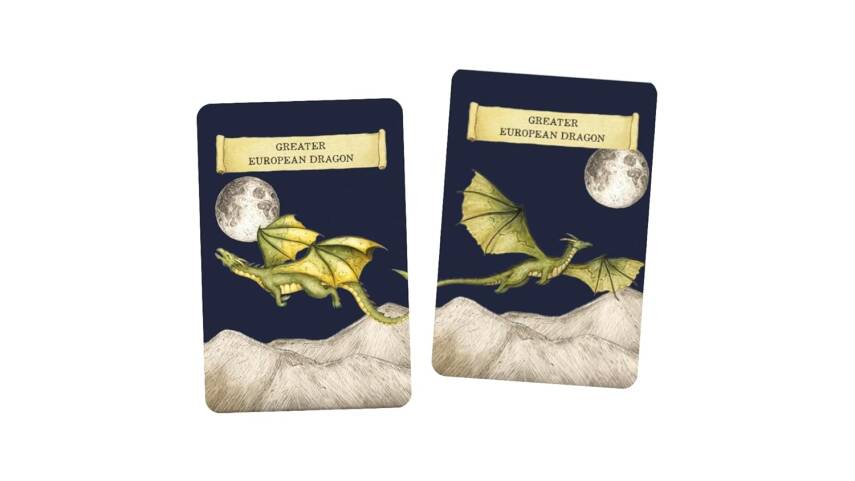 Discover the Dragons - 5