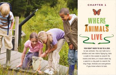 Do You Know Where the Animals Live? - 3