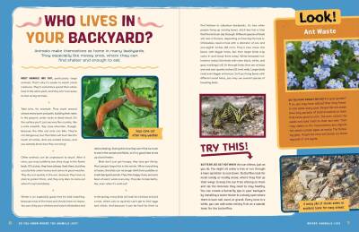 Do You Know Where the Animals Live? - 4