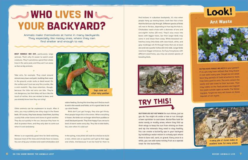 Do You Know Where the Animals Live? - 4
