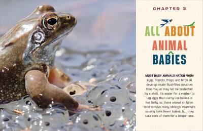 Do You Know Where the Animals Live? - 6