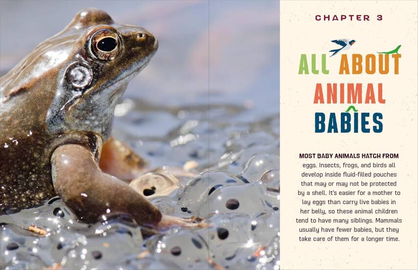 Do You Know Where the Animals Live? - 6