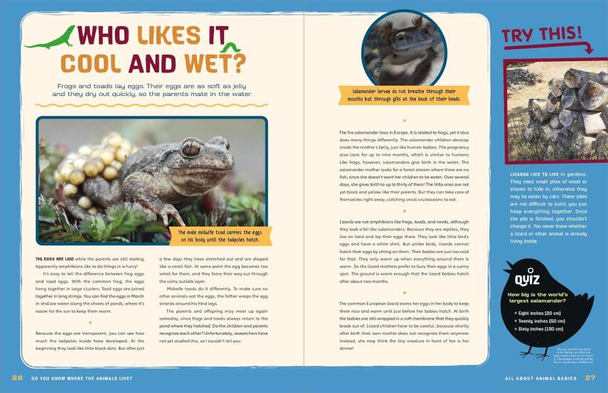 Do You Know Where the Animals Live? - 7