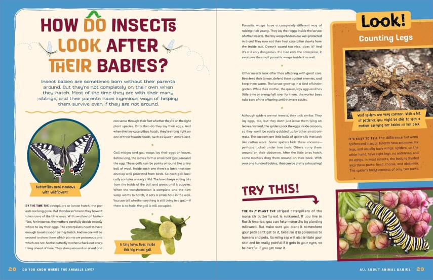 Do You Know Where the Animals Live? - 8