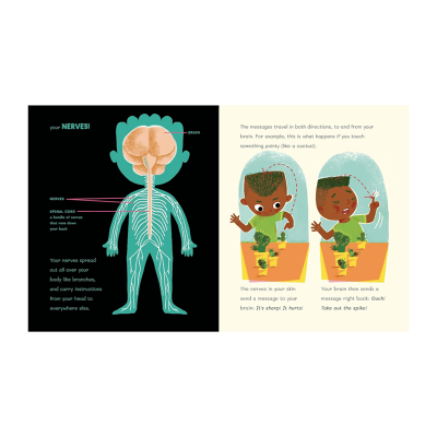 Dr Roopa's Body Books: The Brilliant Brain - 2