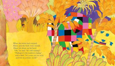 Elmer and the Rainbow - 3