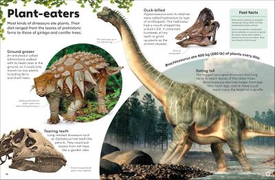 Eyewonder Dinosaurs: Open Your Eyes to a World of Discovery - 4