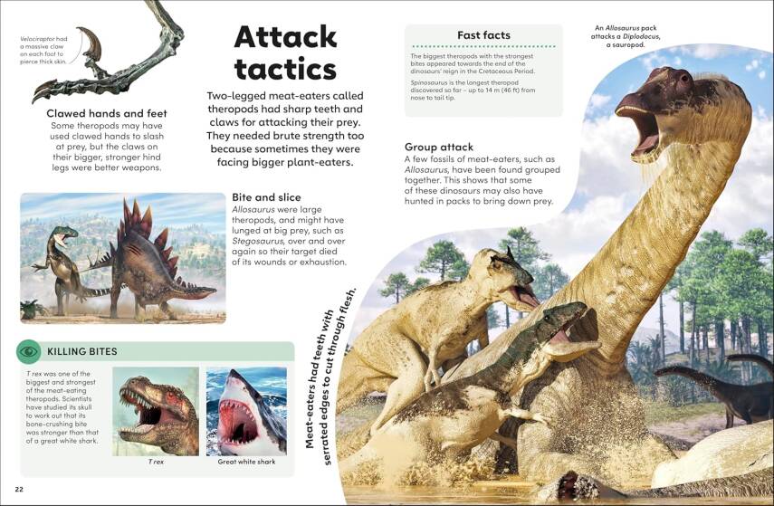Eyewonder Dinosaurs: Open Your Eyes to a World of Discovery - 5
