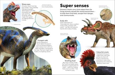 Eyewonder Dinosaurs: Open Your Eyes to a World of Discovery - 6