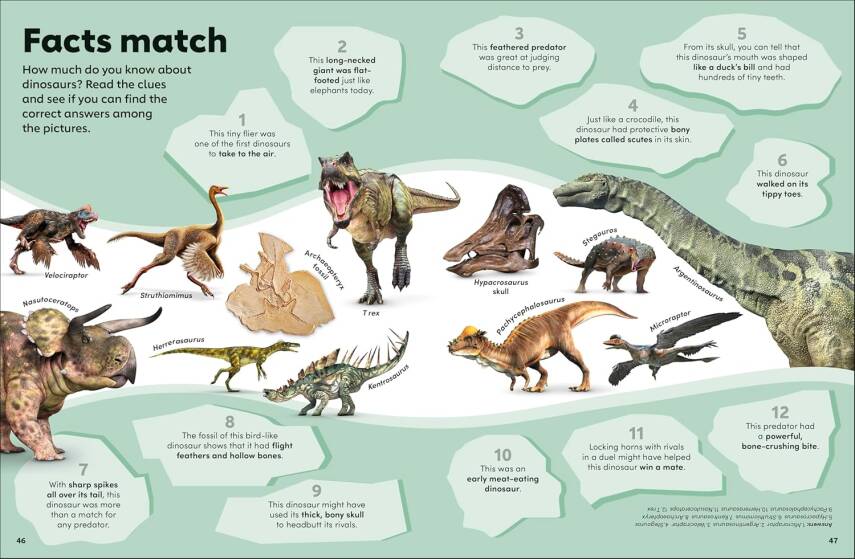 Eyewonder Dinosaurs: Open Your Eyes to a World of Discovery - 7