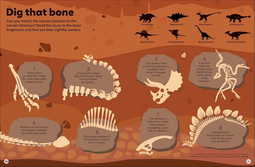 Eyewonder Dinosaurs: Open Your Eyes to a World of Discovery - 9