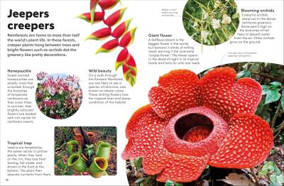 Eyewonder Rainforest: Open Your Eyes to a World of Discovery - 5