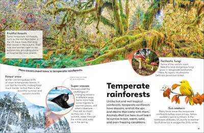Eyewonder Rainforest: Open Your Eyes to a World of Discovery - 7
