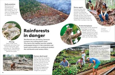 Eyewonder Rainforest: Open Your Eyes to a World of Discovery - 8