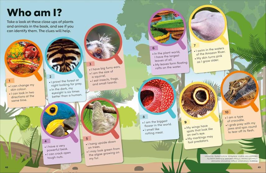 Eyewonder Rainforest: Open Your Eyes to a World of Discovery - 9