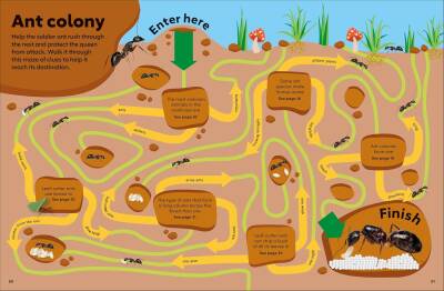 Eyewonder Rainforest: Open Your Eyes to a World of Discovery - 10