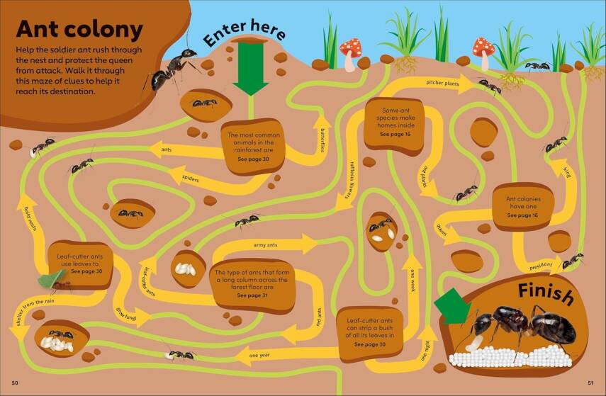 Eyewonder Rainforest: Open Your Eyes to a World of Discovery - 10