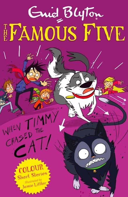 Famous Five Colour Short Stories: When Timmy Chased the Cat - 1