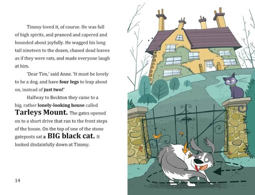 Famous Five Colour Short Stories: When Timmy Chased the Cat - 3