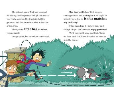 Famous Five Colour Short Stories: When Timmy Chased the Cat - 4