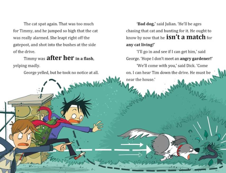 Famous Five Colour Short Stories: When Timmy Chased the Cat - 4