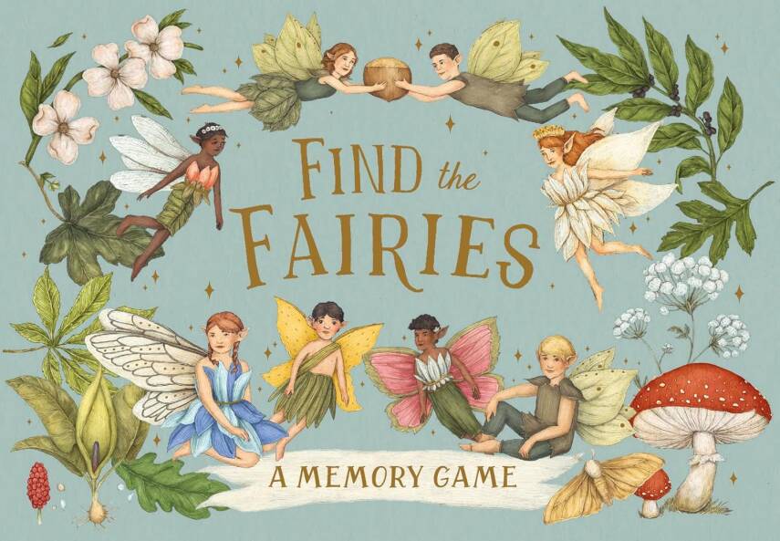 Find The Fairies - 1
