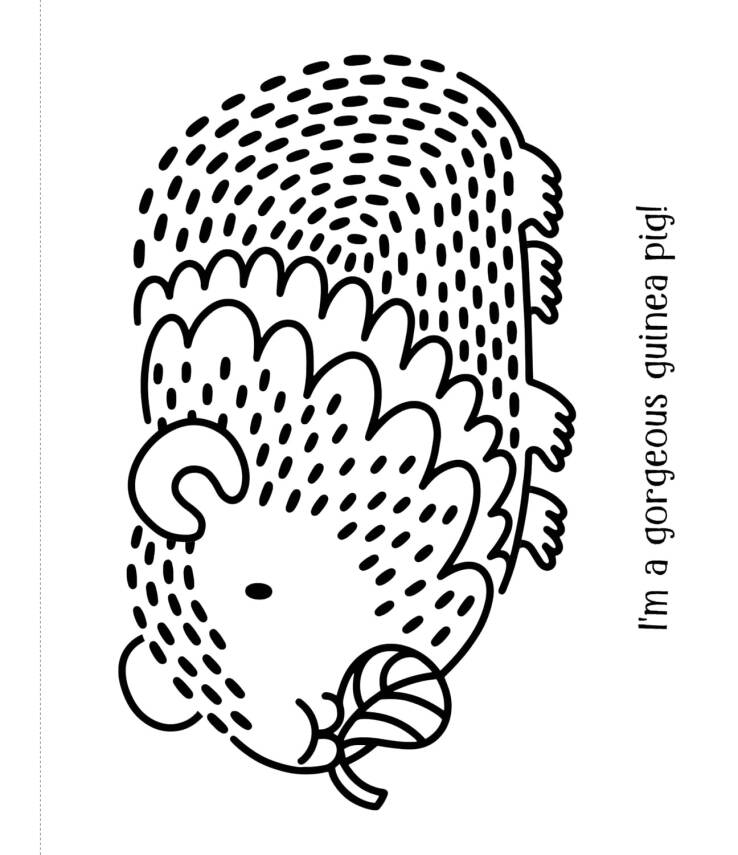 First Magic Painting Pets - 5