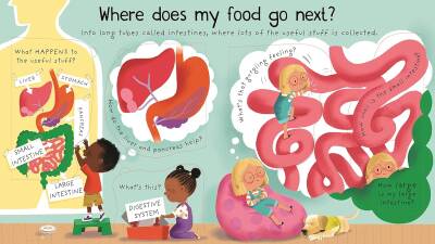 First Questions and Answers: Where does my food go? - 3