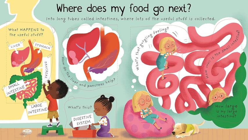 First Questions and Answers: Where does my food go? - 3