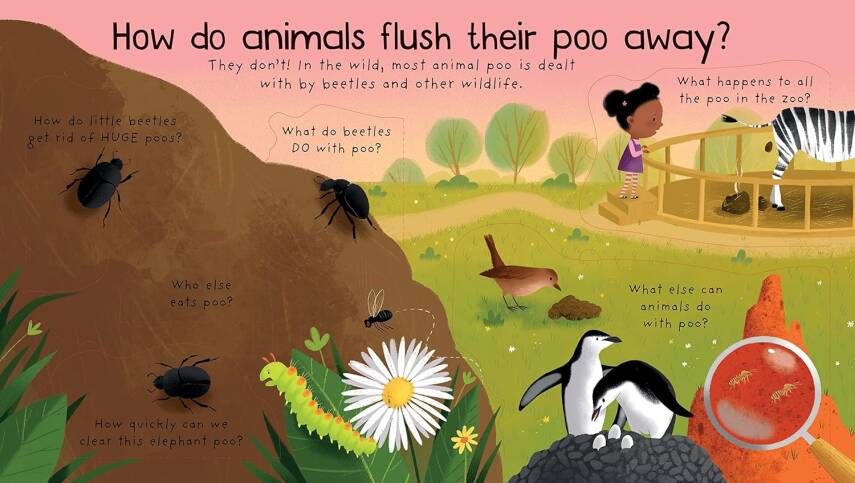 First Questions and Answers: Where Does Poo Go? - 4