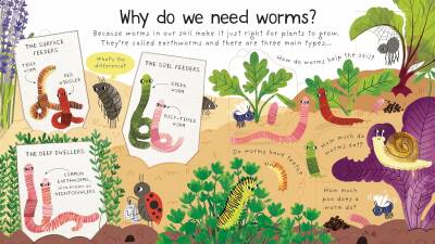 First Questions and Answers: Why do we need worms? - 2