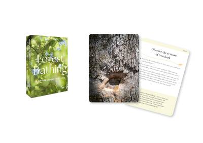 Forest Bathing Cards - 3