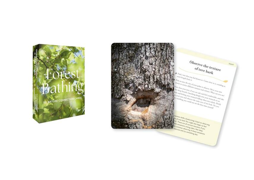 Forest Bathing Cards - 3
