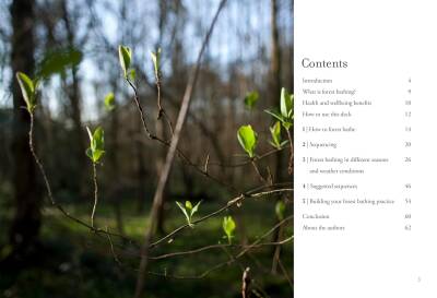 Forest Bathing Cards - 6