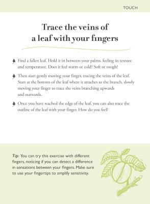 Forest Bathing Cards - 9