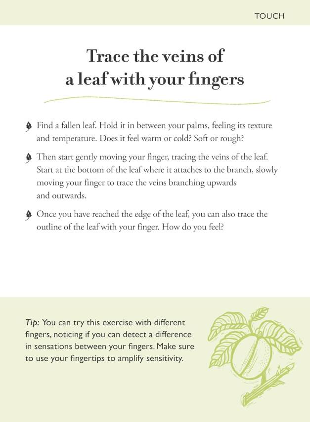 Forest Bathing Cards - 9