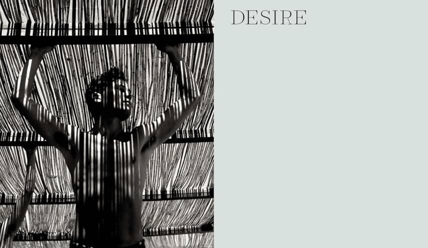 Fragile Beauty: Photographs from the Sir Elton John - 8