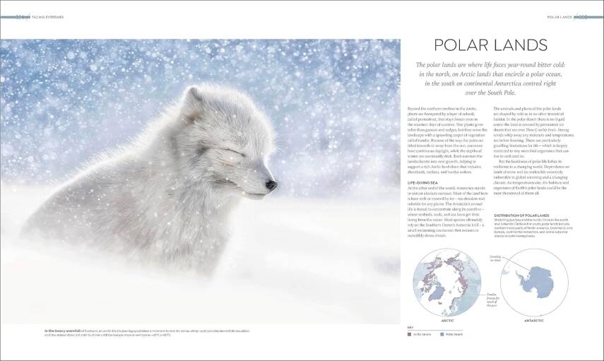 Habitats: Discover Earth's Precious Wild Places - 5