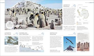 Habitats: Discover Earth's Precious Wild Places - 6