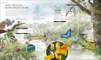 Habitats: Discover Earth's Precious Wild Places - 7