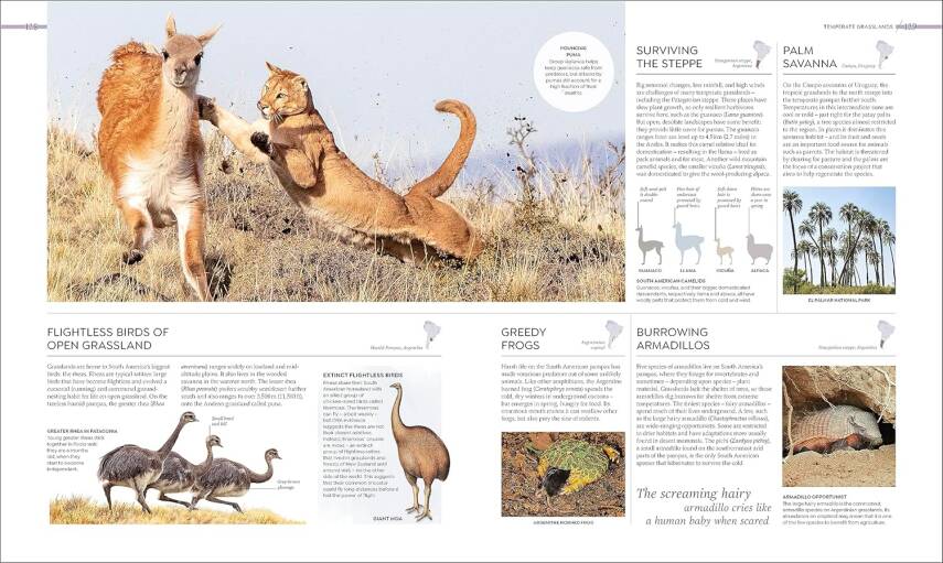 Habitats: Discover Earth's Precious Wild Places - 8