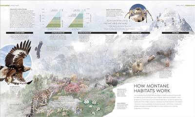 Habitats: Discover Earth's Precious Wild Places - 10